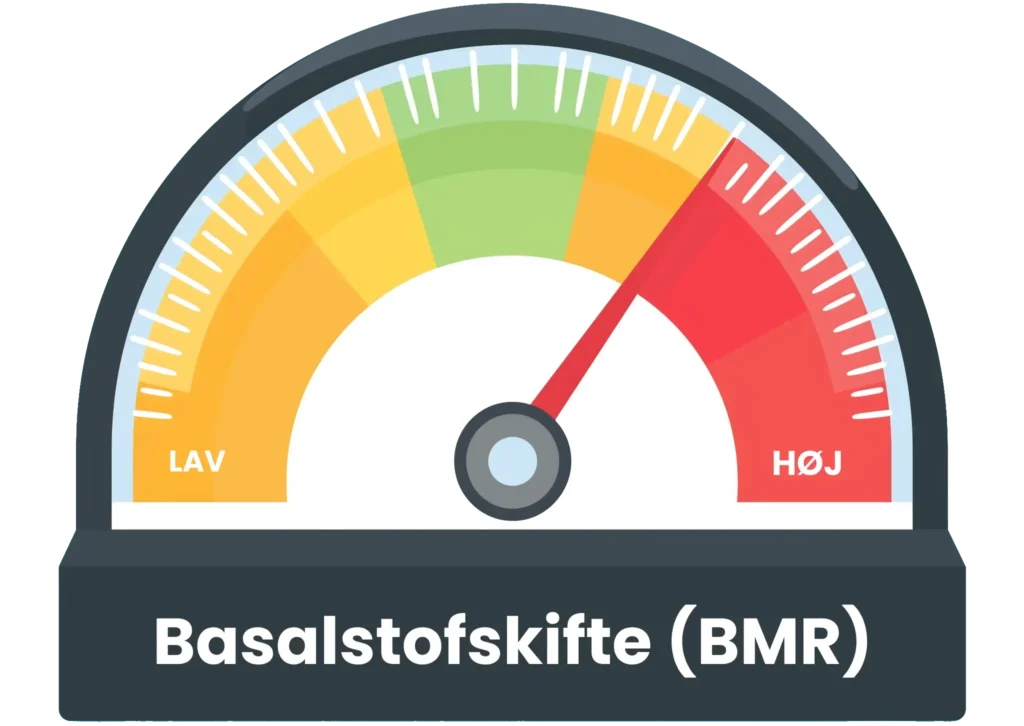 Beregn dit basalstofskifte (BMR) med vores beregner.